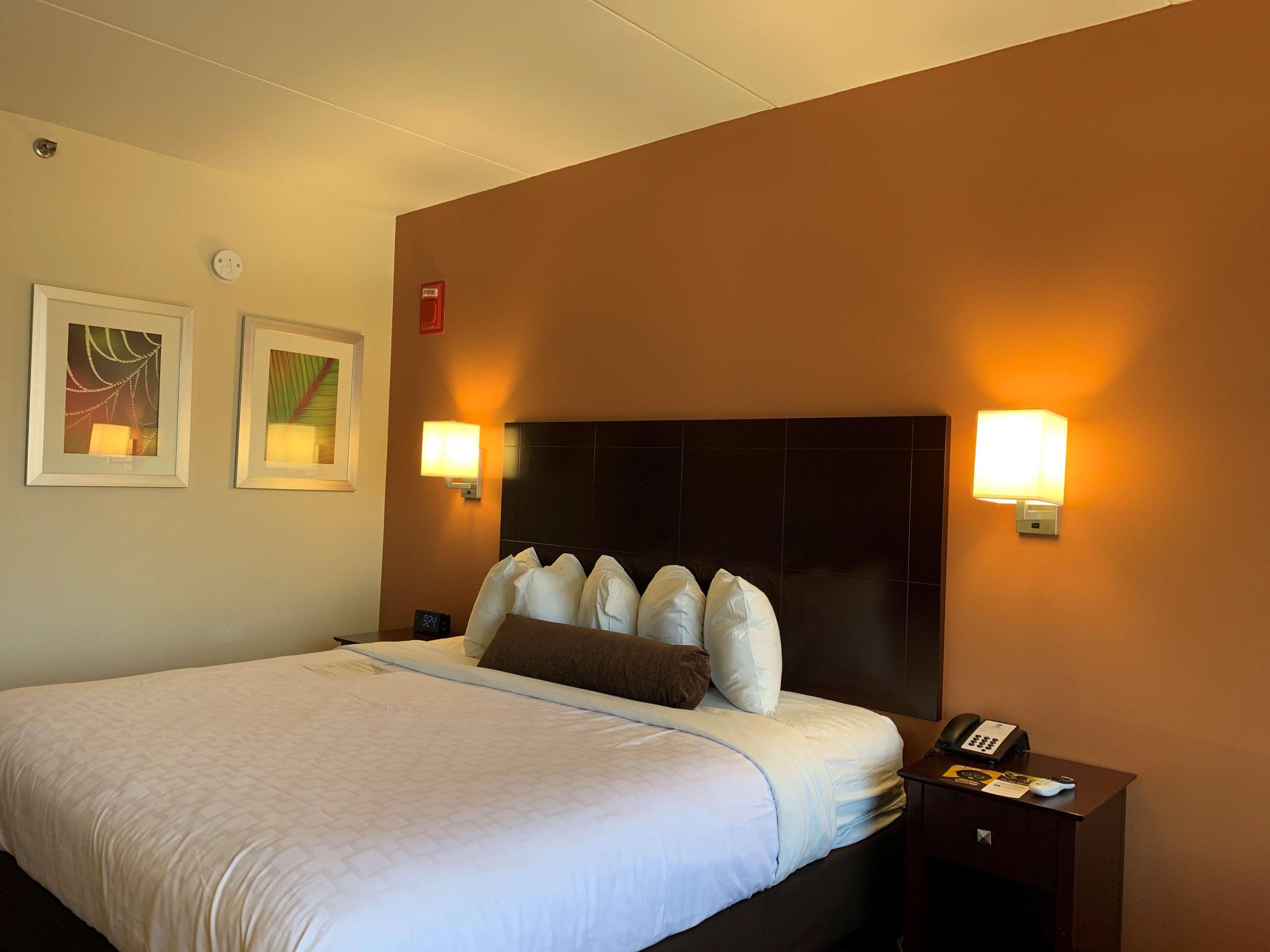 Best Western Executive Hotel New Haven-West Haven Esterno foto